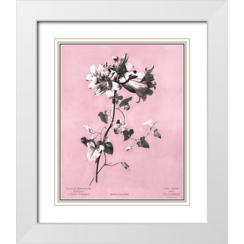 Dussurgey Amaryllis on Pink White Modern Wood Framed Art Print with Double Matting by Dussurgey, Chabal