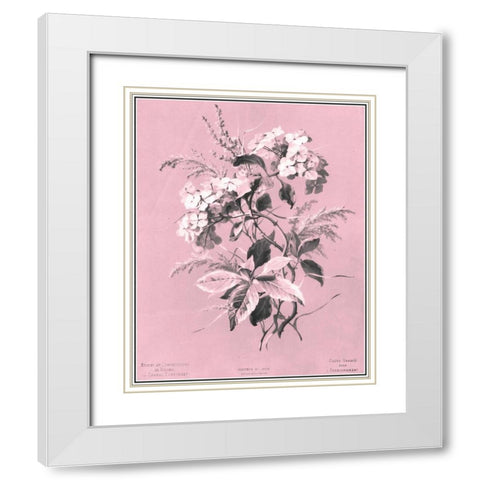 Dussurgey Hydrangea on Pink White Modern Wood Framed Art Print with Double Matting by Dussurgey, Chabal