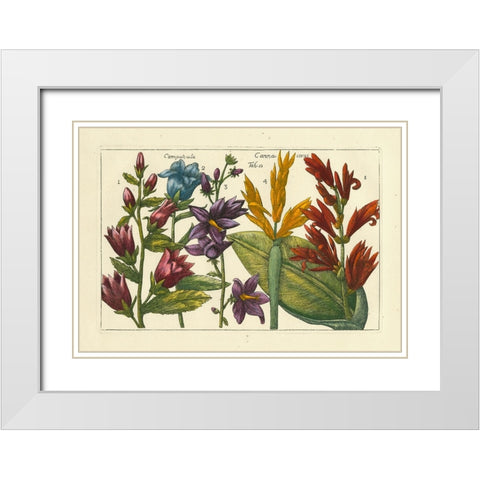 Arena Botanical III White Modern Wood Framed Art Print with Double Matting by Arena