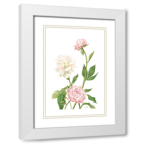 Peony I White Modern Wood Framed Art Print with Double Matting by Shirley, Pamela