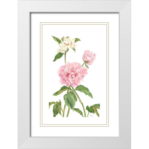 Peony II White Modern Wood Framed Art Print with Double Matting by Shirley, Pamela