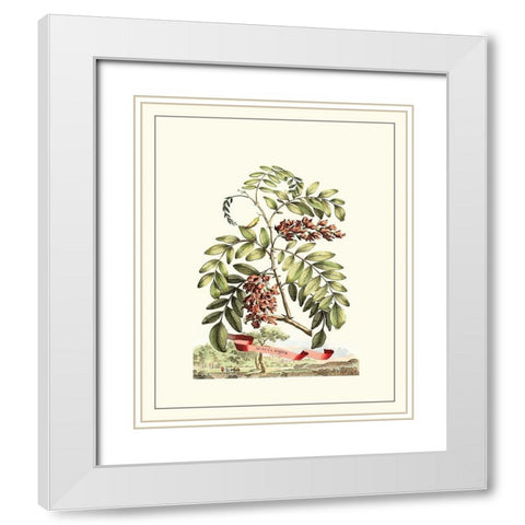 Grandiose View I White Modern Wood Framed Art Print with Double Matting by Munting, Abraham