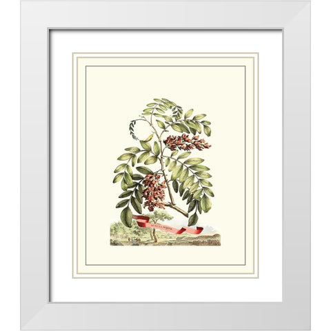 Grandiose View I White Modern Wood Framed Art Print with Double Matting by Munting, Abraham