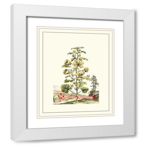 Grandiose View II White Modern Wood Framed Art Print with Double Matting by Munting, Abraham