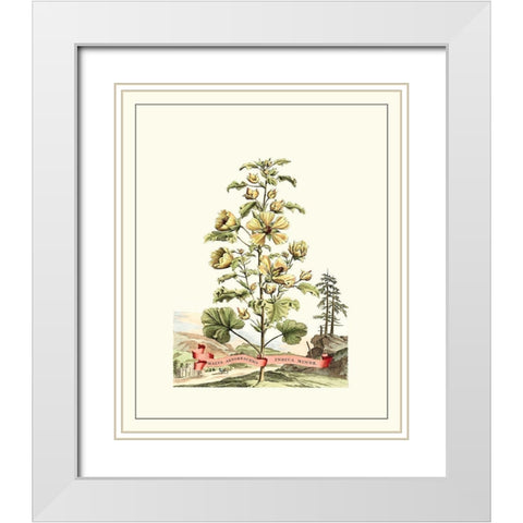 Grandiose View II White Modern Wood Framed Art Print with Double Matting by Munting, Abraham