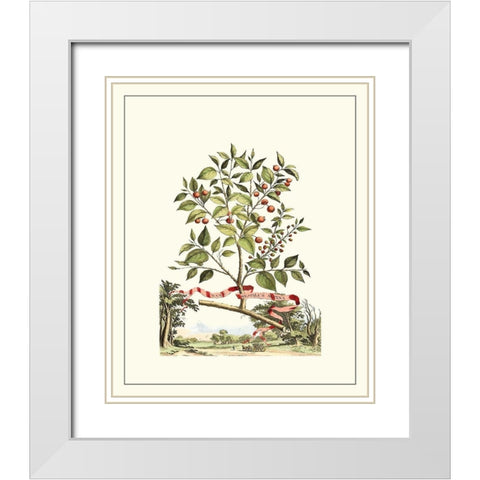 Grandiose View III White Modern Wood Framed Art Print with Double Matting by Munting, Abraham