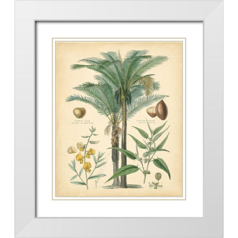 Fruitful Palm I White Modern Wood Framed Art Print with Double Matting by Vision Studio