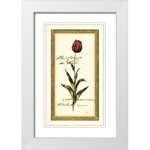 Jens Tulip II White Modern Wood Framed Art Print with Double Matting by Vision Studio