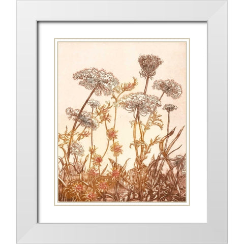 Field of Lace I White Modern Wood Framed Art Print with Double Matting by Dauman, B.
