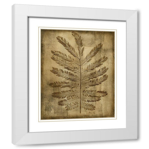 Sepia Drenched Fern I White Modern Wood Framed Art Print with Double Matting by Slocum, Nancy