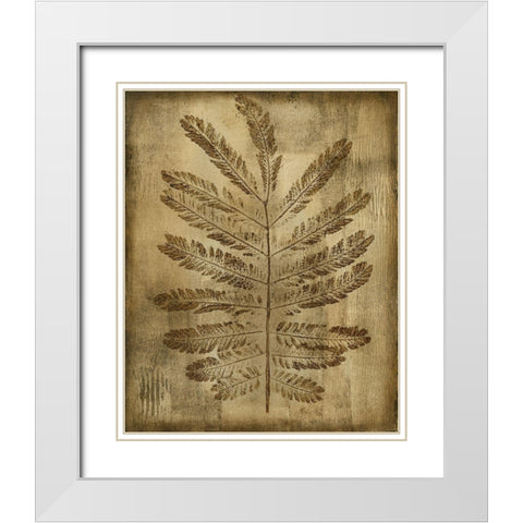 Sepia Drenched Fern I White Modern Wood Framed Art Print with Double Matting by Slocum, Nancy
