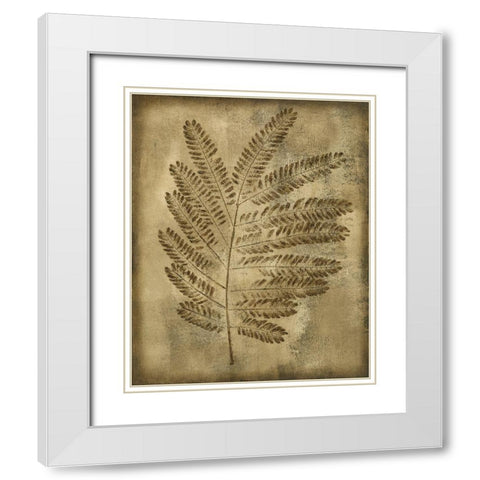 Sepia Drenched Fern II White Modern Wood Framed Art Print with Double Matting by Slocum, Nancy