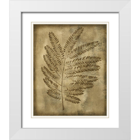 Sepia Drenched Fern II White Modern Wood Framed Art Print with Double Matting by Slocum, Nancy
