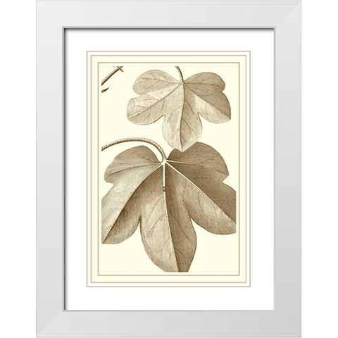 Cropped Sepia Botanical III White Modern Wood Framed Art Print with Double Matting by Vision Studio