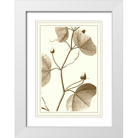 Cropped Sepia Botanical IV White Modern Wood Framed Art Print with Double Matting by Vision Studio