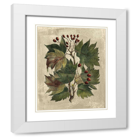 Deshayes Tree I White Modern Wood Framed Art Print with Double Matting by Deshayes, Gerard Paul