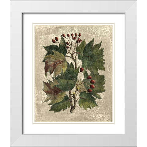 Deshayes Tree I White Modern Wood Framed Art Print with Double Matting by Deshayes, Gerard Paul