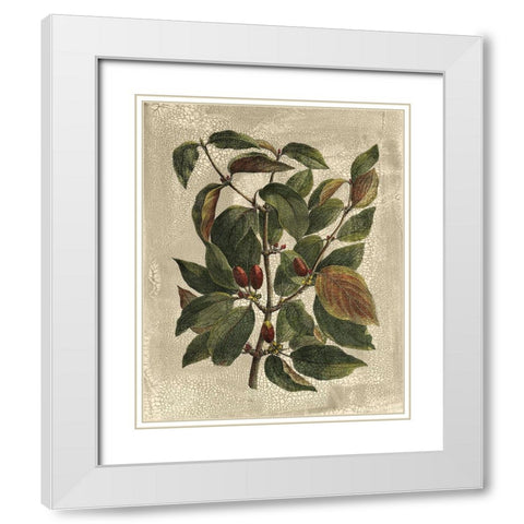 Deshayes Tree II White Modern Wood Framed Art Print with Double Matting by Deshayes, Gerard Paul