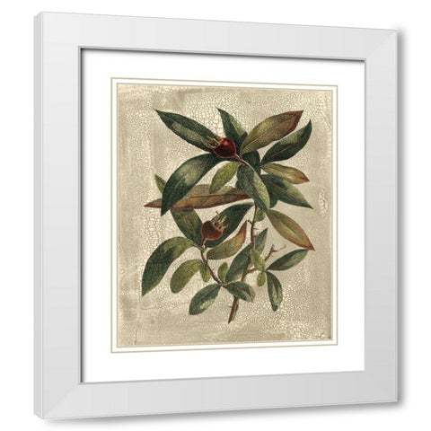 Deshayes Tree III White Modern Wood Framed Art Print with Double Matting by Deshayes, Gerard Paul