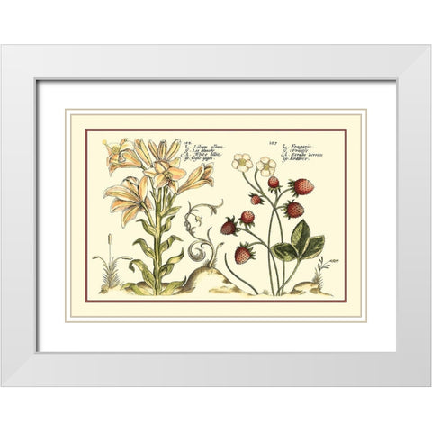 Garden Botanica I White Modern Wood Framed Art Print with Double Matting by Vision Studio