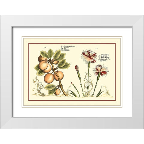 Garden Botanica II White Modern Wood Framed Art Print with Double Matting by Vision Studio