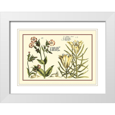 Garden Botanica III White Modern Wood Framed Art Print with Double Matting by Vision Studio