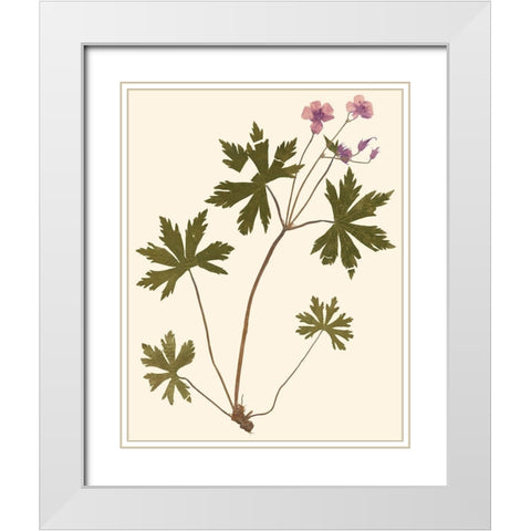 Pressed Botanical III White Modern Wood Framed Art Print with Double Matting by Vision Studio