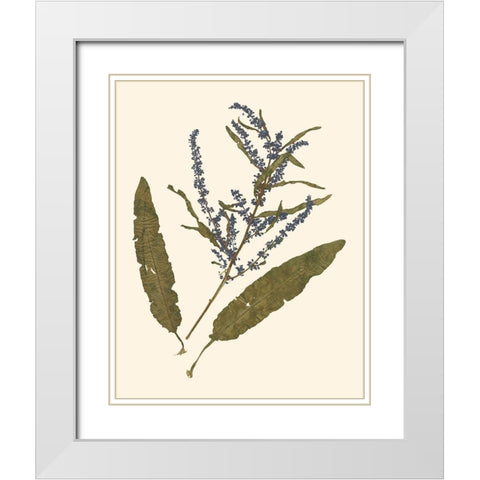 Pressed Botanical IV White Modern Wood Framed Art Print with Double Matting by Vision Studio