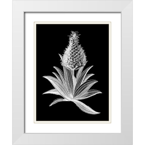 Pineapple Noir I White Modern Wood Framed Art Print with Double Matting by Vision Studio