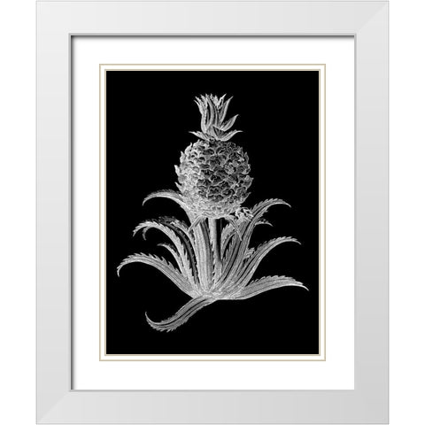 Pineapple Noir II White Modern Wood Framed Art Print with Double Matting by Vision Studio