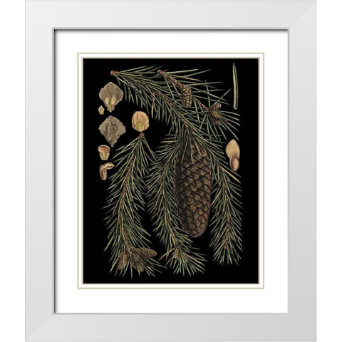 Dramatic Conifers III White Modern Wood Framed Art Print with Double Matting by Vision Studio