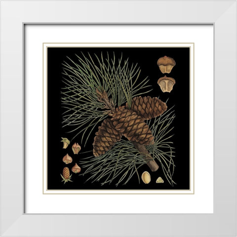 Dramatic Conifers V White Modern Wood Framed Art Print with Double Matting by Vision Studio