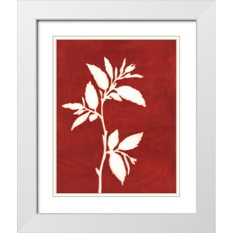 Four Seasons Foliage III White Modern Wood Framed Art Print with Double Matting by Meagher, Megan