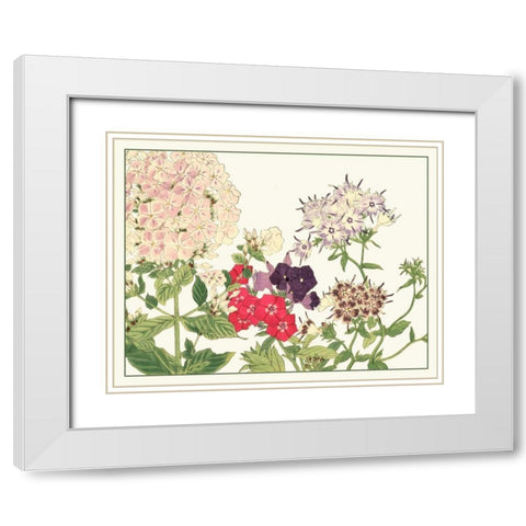 Japanese Flower Garden II White Modern Wood Framed Art Print with Double Matting by Konan, Tanigami