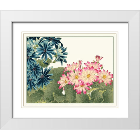 Japanese Flower Garden IV White Modern Wood Framed Art Print with Double Matting by Konan, Tanigami