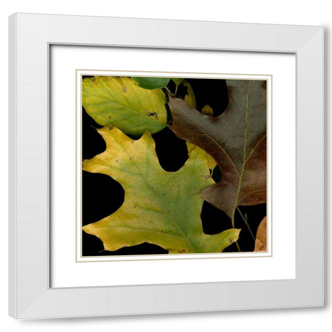 Vivid Leaves II White Modern Wood Framed Art Print with Double Matting by Vision Studio
