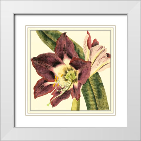 Poetic Blossoms III White Modern Wood Framed Art Print with Double Matting by Vision Studio