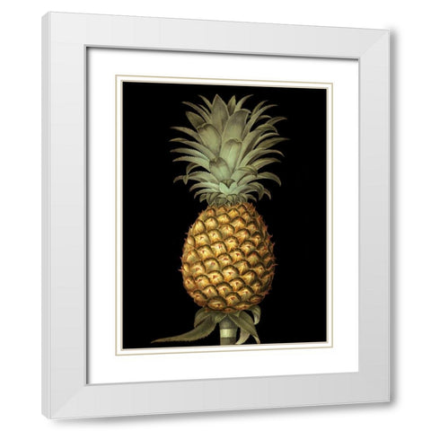 Brookshaw Exotic Pineapple I White Modern Wood Framed Art Print with Double Matting by Brookshaw, George