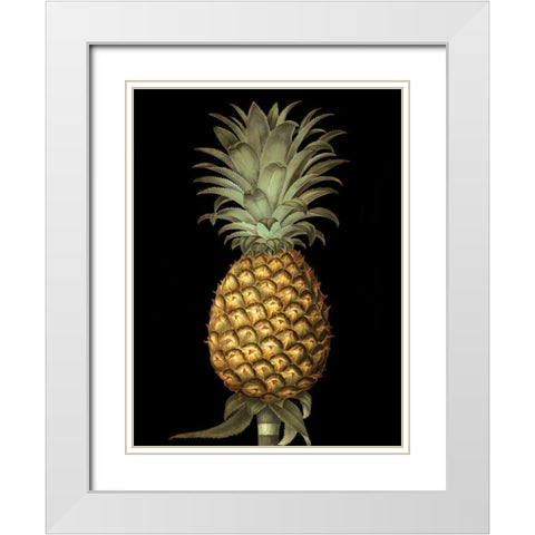 Brookshaw Exotic Pineapple I White Modern Wood Framed Art Print with Double Matting by Brookshaw, George