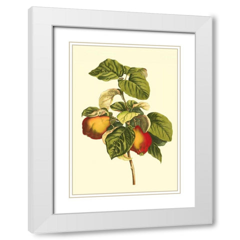 Bessa Pear White Modern Wood Framed Art Print with Double Matting by Bessa