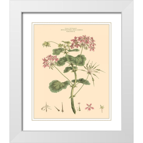 Blushing Pink Florals IV White Modern Wood Framed Art Print with Double Matting by Miller, John