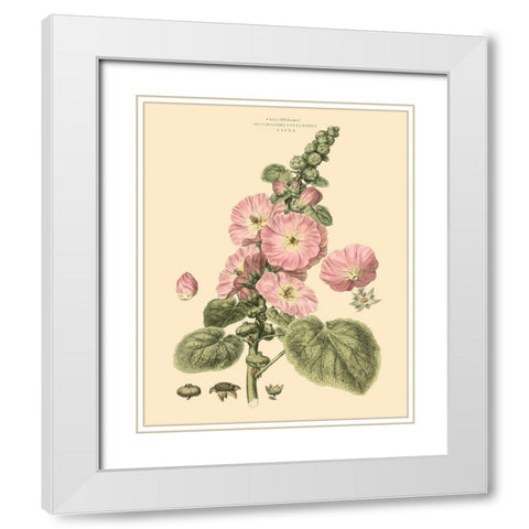 Blushing Pink Florals V White Modern Wood Framed Art Print with Double Matting by Miller, John