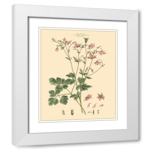 Blushing Pink Florals IX White Modern Wood Framed Art Print with Double Matting by Miller, John