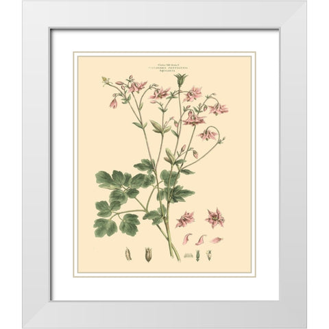 Blushing Pink Florals IX White Modern Wood Framed Art Print with Double Matting by Miller, John