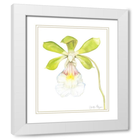 Orchid Beauty I White Modern Wood Framed Art Print with Double Matting by Goldberger, Jennifer