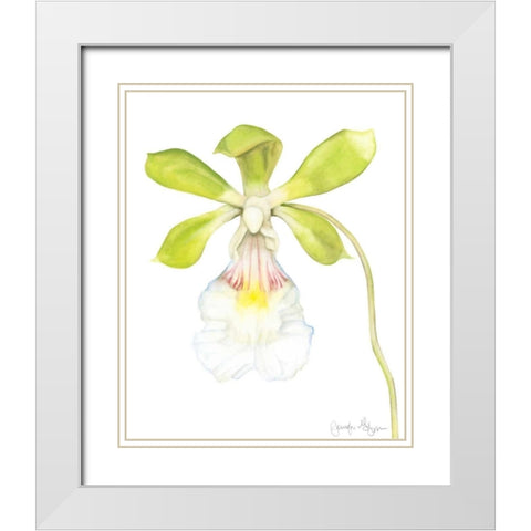 Orchid Beauty I White Modern Wood Framed Art Print with Double Matting by Goldberger, Jennifer