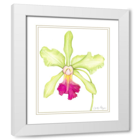 Orchid Beauty III White Modern Wood Framed Art Print with Double Matting by Goldberger, Jennifer