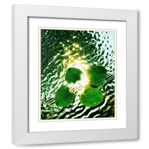 Floating Light White Modern Wood Framed Art Print with Double Matting by Morris, Leonard