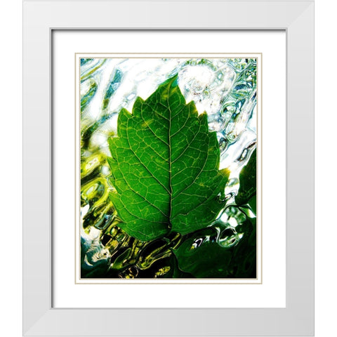 Rising White Modern Wood Framed Art Print with Double Matting by Morris, Leonard
