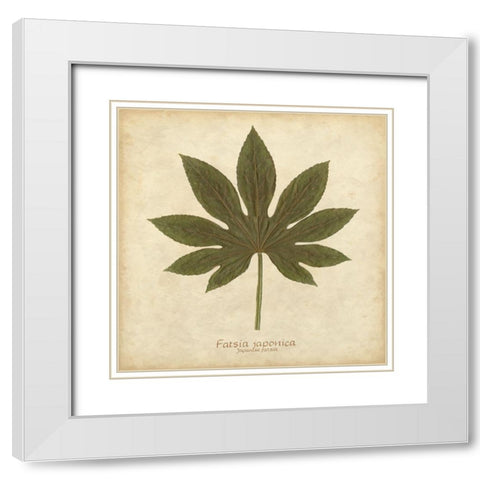 Japanese Fatsia White Modern Wood Framed Art Print with Double Matting by Davis, Becky